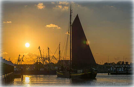Sonnenuntergang im Hafen von Texel